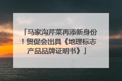 马家沟芹菜再添新身份！贸促会出具《地理标志产品品牌证明书》