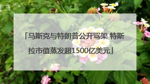 马斯克与特朗普公开骂架 特斯拉市值蒸发超1500亿美元