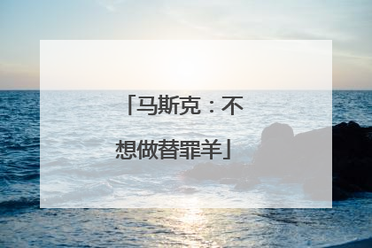 马斯克：不想做替罪羊
