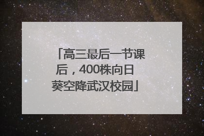 高三最后一节课后，400株向日葵空降武汉校园