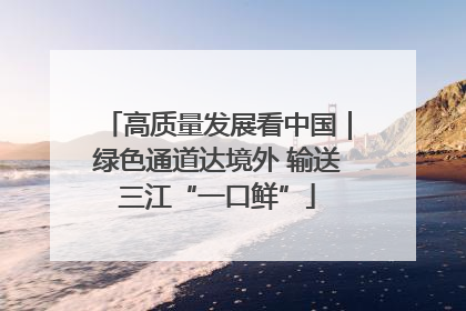 高质量发展看中国｜绿色通道达境外 输送三江“一口鲜”