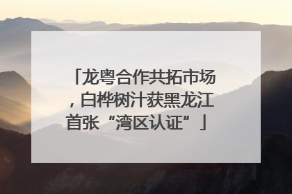 龙粤合作共拓市场，白桦树汁获黑龙江首张“湾区认证”