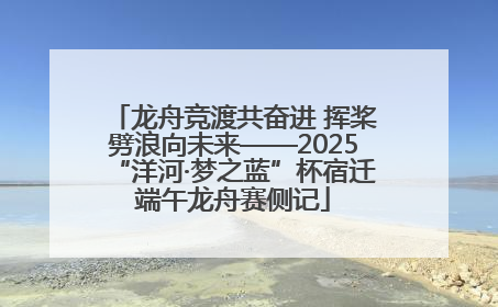 龙舟竞渡共奋进 挥桨劈浪向未来——2025“洋河·梦之蓝”杯宿迁端午龙舟赛侧记