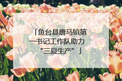 鱼台县唐马镇第一书记工作队助力“三夏生产”