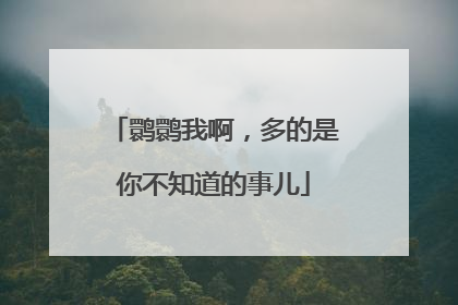鹮鹮我啊，多的是你不知道的事儿