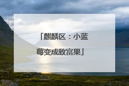 麒麟区：小蓝莓变成致富果