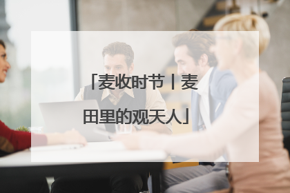 麦收时节丨麦田里的观天人