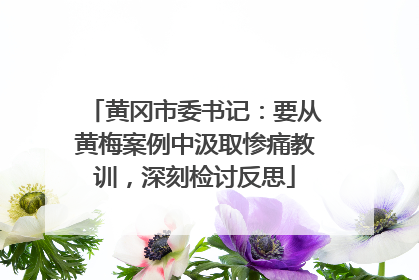 黄冈市委书记：要从黄梅案例中汲取惨痛教训，深刻检讨反思