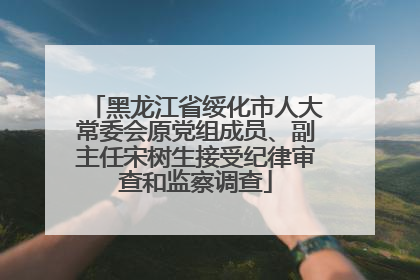 黑龙江省绥化市人大常委会原党组成员、副主任宋树生接受纪律审查和监察调查
