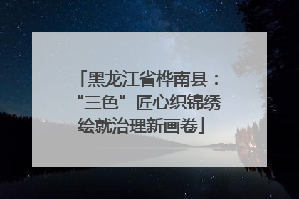 黑龙江省桦南县：“三色”匠心织锦绣 绘就治理新画卷