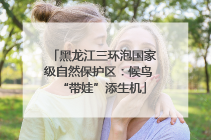 黑龙江三环泡国家级自然保护区：候鸟“带娃”添生机