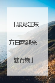 黑龙江东方白鹳迎来繁育期