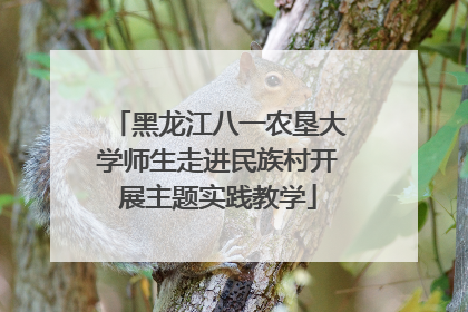 黑龙江八一农垦大学师生走进民族村开展主题实践教学
