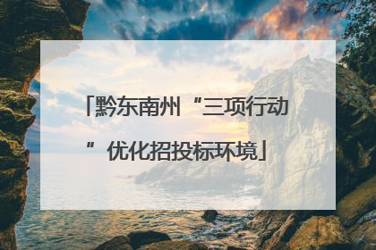 黔东南州“三项行动”优化招投标环境