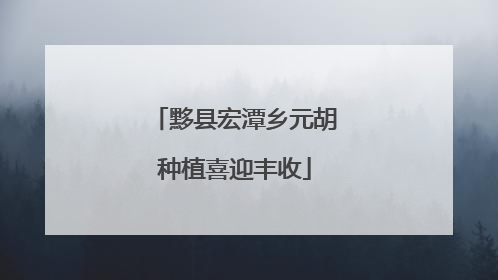 黟县宏潭乡元胡种植喜迎丰收