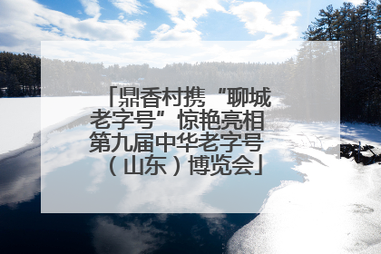 鼎香村携“聊城老字号”惊艳亮相第九届中华老字号（山东）博览会