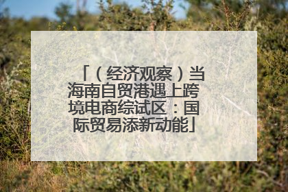 （经济观察）当海南自贸港遇上跨境电商综试区：国际贸易添新动能