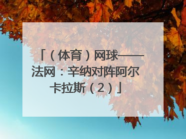 （体育）网球——法网：辛纳对阵阿尔卡拉斯（2）