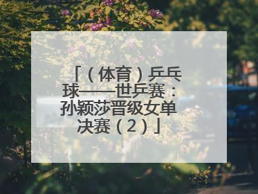（体育）乒乓球——世乒赛：孙颖莎晋级女单决赛（2）