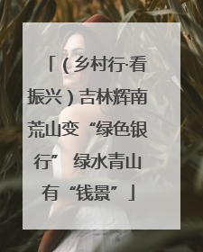 （乡村行·看振兴）吉林辉南荒山变“绿色银行” 绿水青山有“钱景”