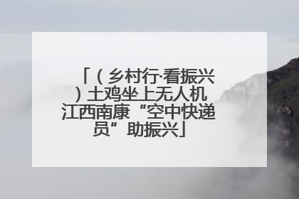 （乡村行·看振兴）土鸡坐上无人机 江西南康“空中快递员”助振兴