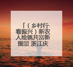 （乡村行·看振兴）新农人绘就共富新图景 浙江庆元统战力量赋能“海拔经济”
