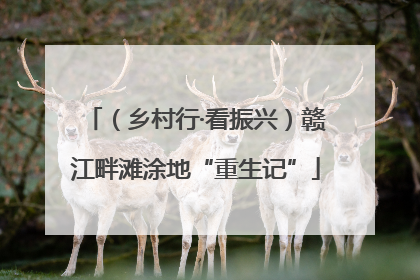 （乡村行·看振兴）赣江畔滩涂地“重生记”