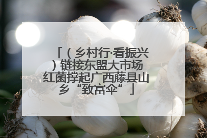 （乡村行·看振兴）链接东盟大市场 红菌撑起广西藤县山乡“致富伞”