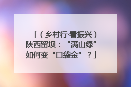（乡村行·看振兴）陕西留坝：“满山绿”如何变“口袋金”？