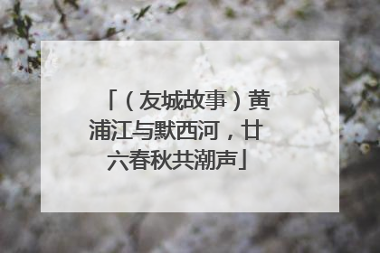 （友城故事）黄浦江与默西河，廿六春秋共潮声