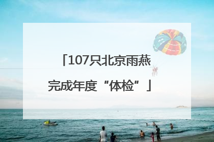 107只北京雨燕完成年度“体检”
