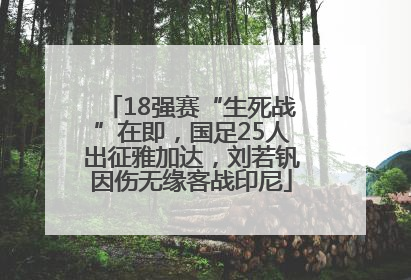18强赛“生死战”在即，国足25人出征雅加达，刘若钒因伤无缘客战印尼