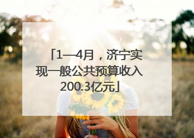 1—4月，济宁实现一般公共预算收入200.3亿元