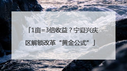 1亩=3倍收益？宁夏兴庆区解锁改革“黄金公式”