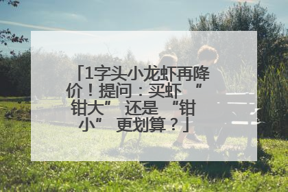 1字头小龙虾再降价！提问：买虾 “钳大” 还是 “钳小” 更划算？