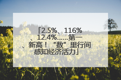 2.5%、116%、12.4%……第一、新高！“数”里行间感知经济活力