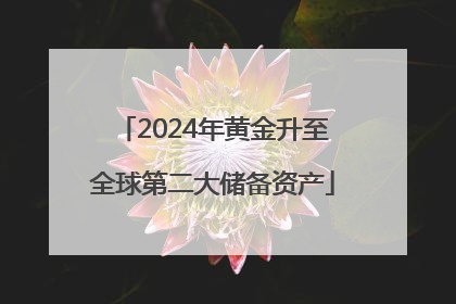 2024年黄金升至全球第二大储备资产