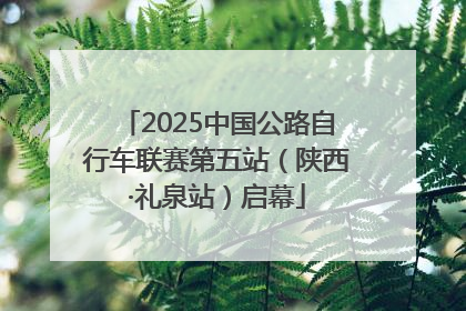 2025中国公路自行车联赛第五站（陕西·礼泉站）启幕