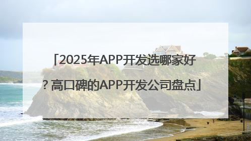 2025年APP开发选哪家好？高口碑的APP开发公司盘点