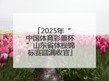 2025年“中国体育彩票杯”山东省体操锦标赛圆满收官