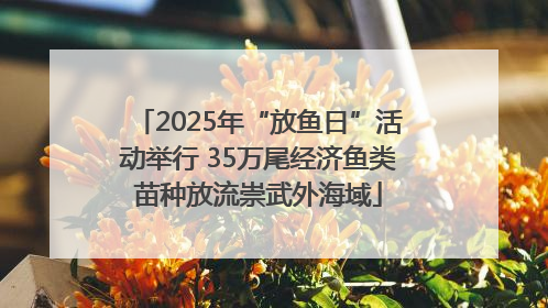 2025年“放鱼日”活动举行 35万尾经济鱼类苗种放流崇武外海域