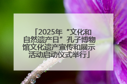 2025年“文化和自然遗产日”孔子博物馆文化遗产宣传和展示活动启动仪式举行