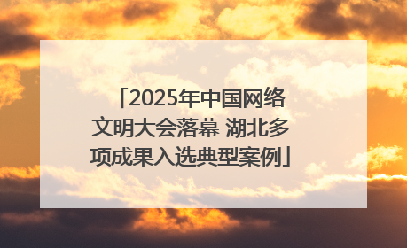 2025年中国网络文明大会落幕 湖北多项成果入选典型案例