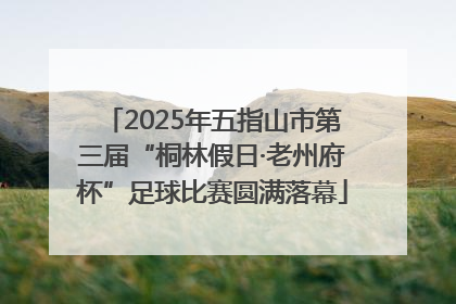 2025年五指山市第三届“桐林假日·老州府杯”足球比赛圆满落幕