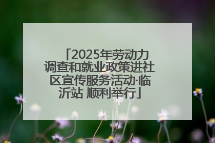 2025年劳动力调查和就业政策进社区宣传服务活动·临沂站 顺利举行