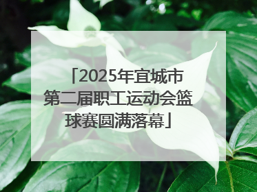 2025年宜城市第二届职工运动会篮球赛圆满落幕