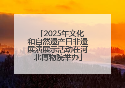 2025年文化和自然遗产日非遗展演展示活动在河北博物院举办