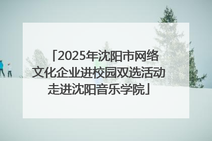 2025年沈阳市网络文化企业进校园双选活动走进沈阳音乐学院
