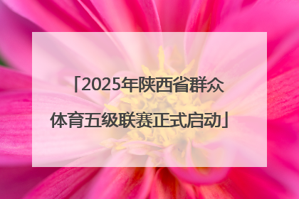 2025年陕西省群众体育五级联赛正式启动
