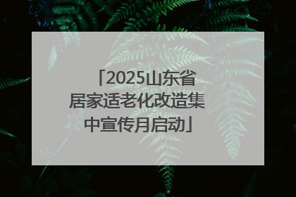 2025山东省居家适老化改造集中宣传月启动